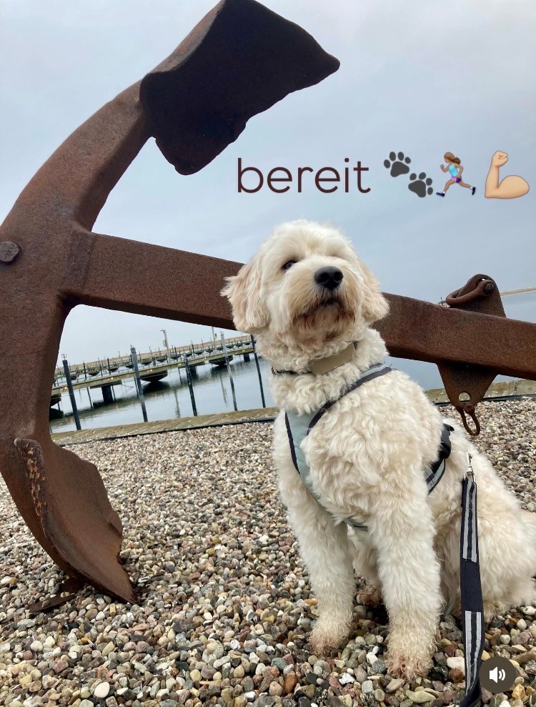 bereit